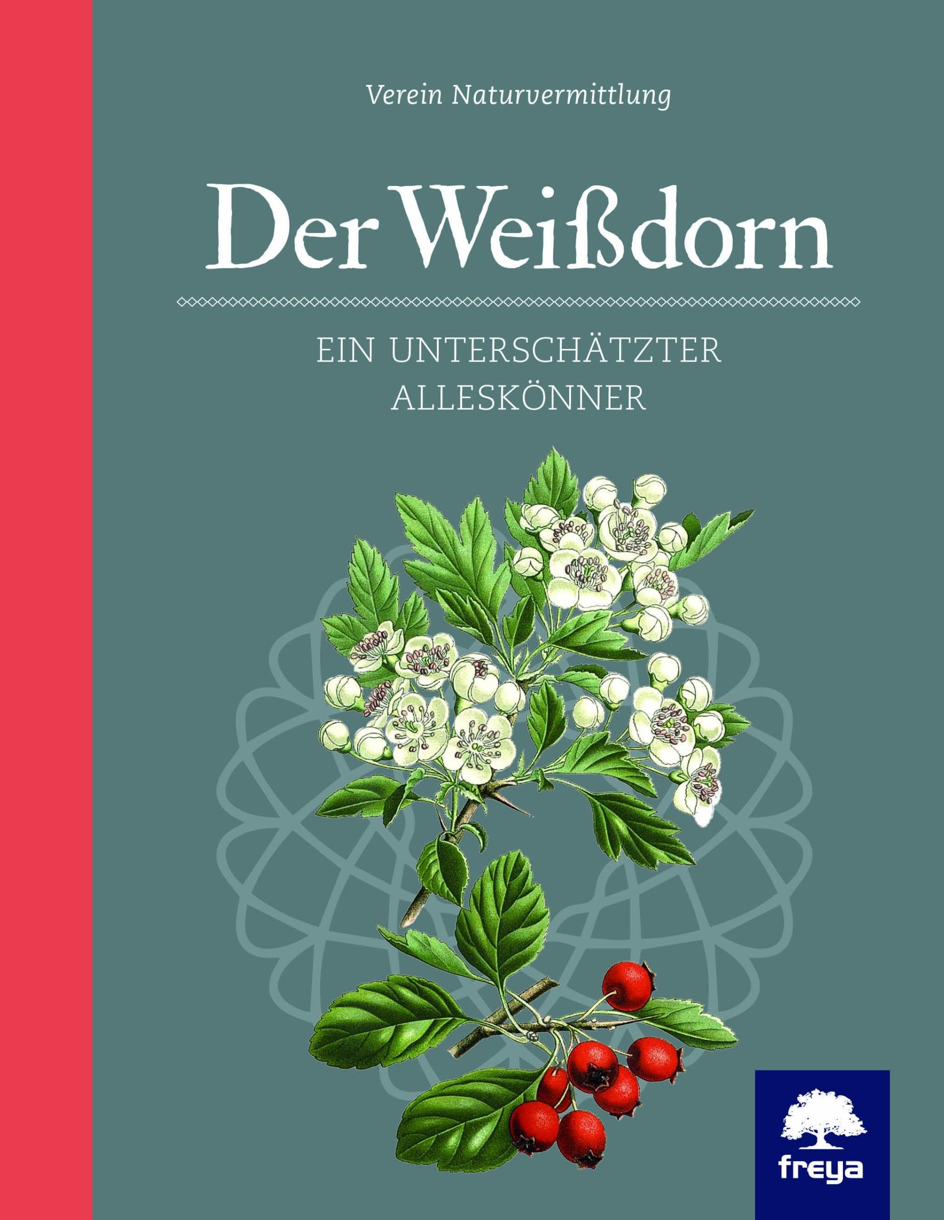 Cover: 9783990252420 | Der Weißdorn | Ein unterschätzter Alleskönner | Naturvermittlung