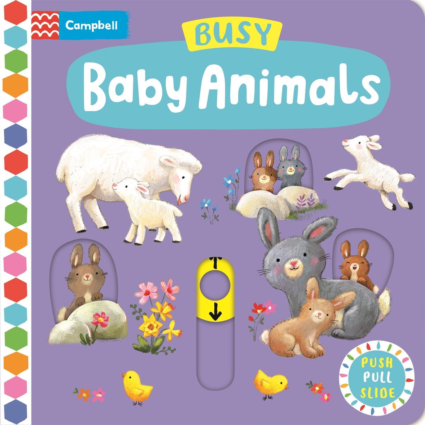 Cover: 9781035004706 | Busy Baby Animals | Ag Jatkowska | Campbell Busy Books | Englisch