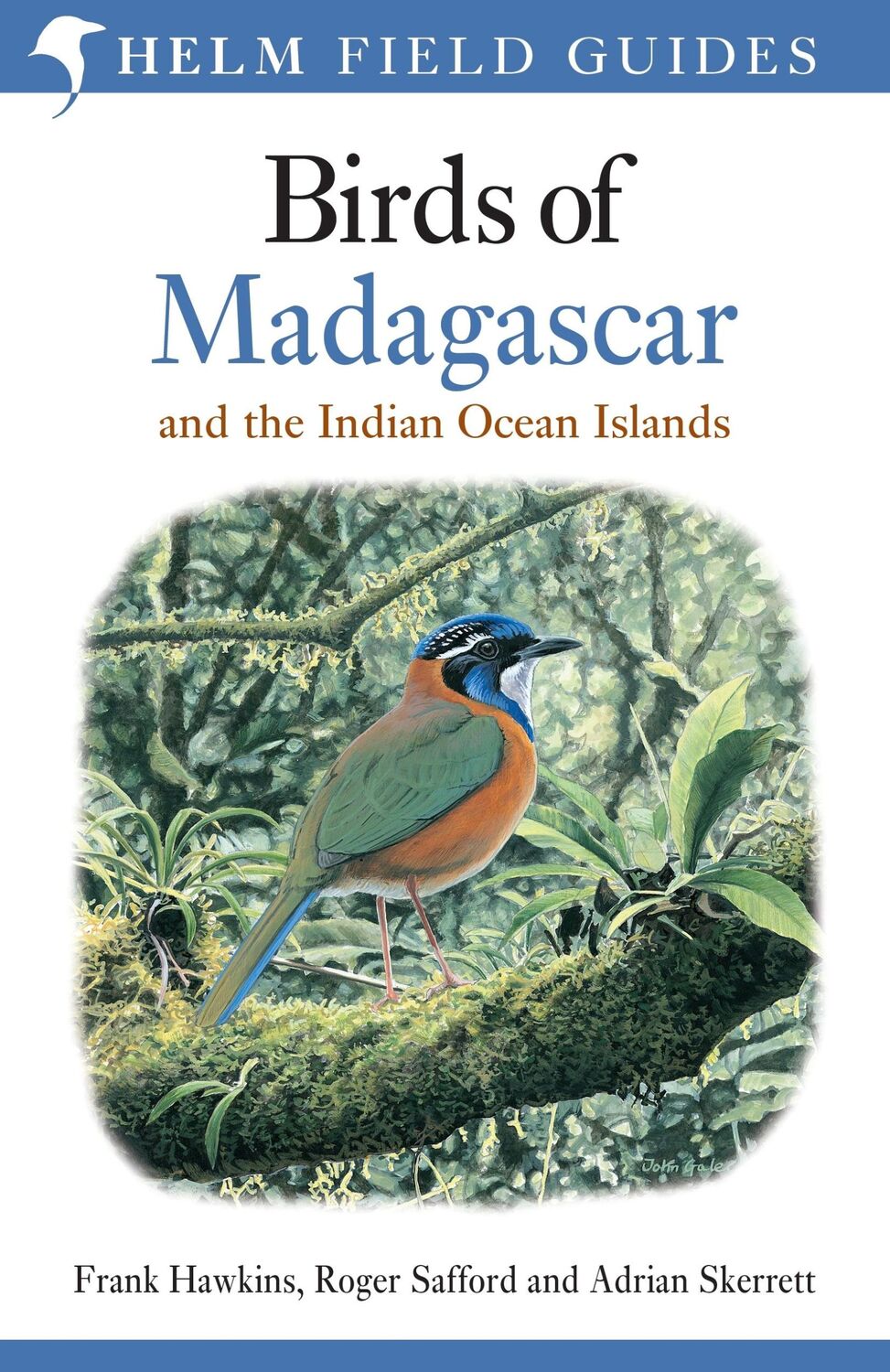 Autor: 9781472924094 | Field Guide to the Birds of Madagascar and the Indian Ocean Islands