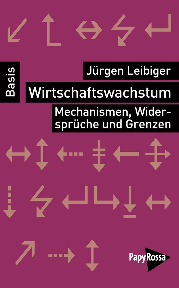 Cover: 9783894386078 | Wirtschaftswachstum | Mechanismen, Widersprüche und Grenzen | Leibiger