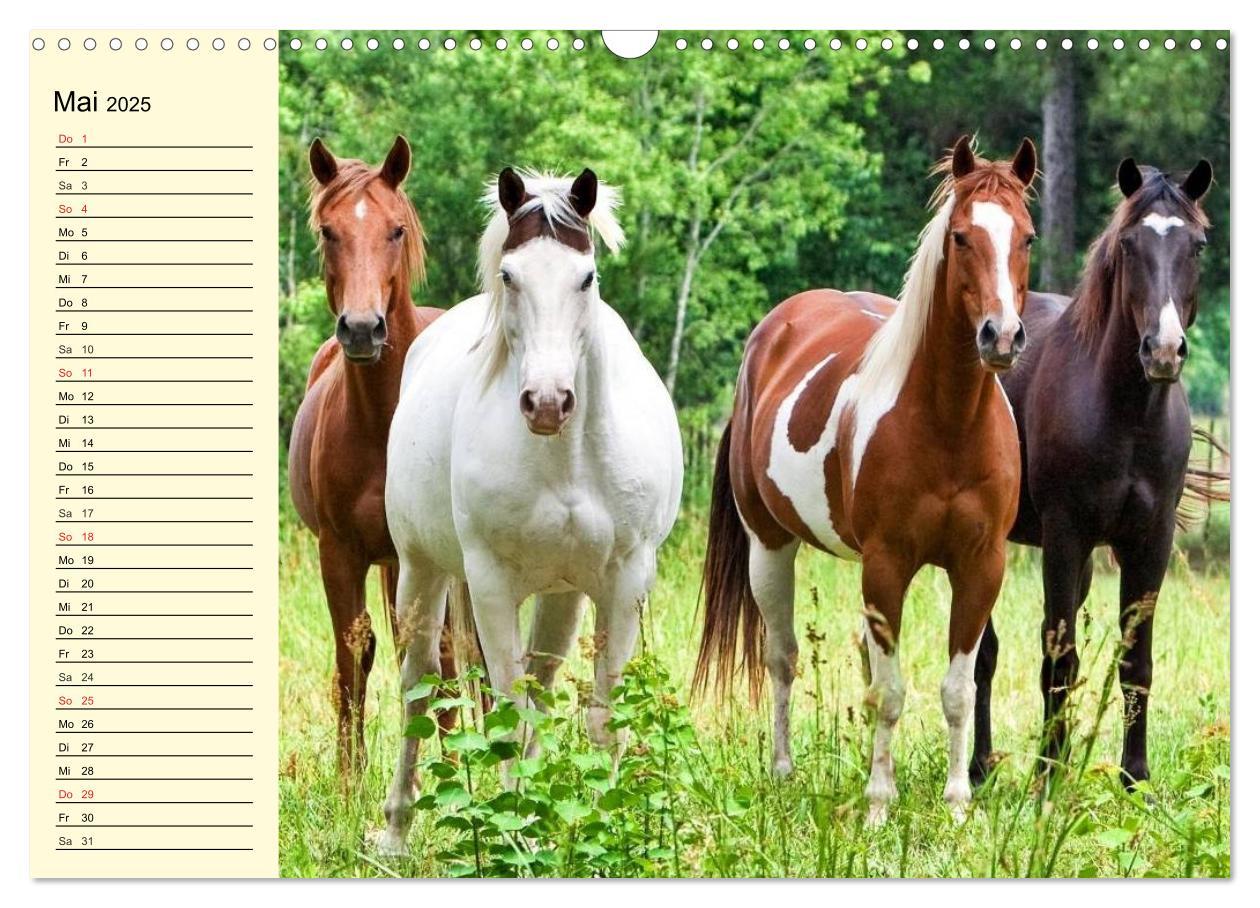 Bild: 9783435529353 | Wilde Pferde. Mustangs in USA (Wandkalender 2025 DIN A3 quer),...