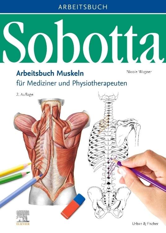 Cover: 9783437441028 | Sobotta Arbeitsbuch Muskeln | Nicole Wagner | Taschenbuch | X | 2020