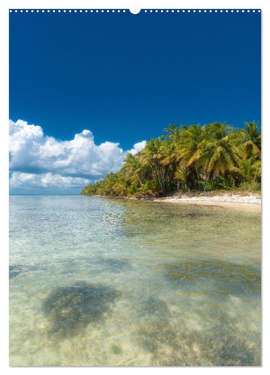 Bild: 9783435904808 | Karibischer Traum Isla Saona (hochwertiger Premium Wandkalender...