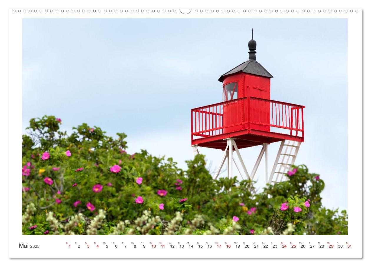 Bild: 9783457145913 | Buntes und blühendes Borkum (Wandkalender 2025 DIN A2 quer),...