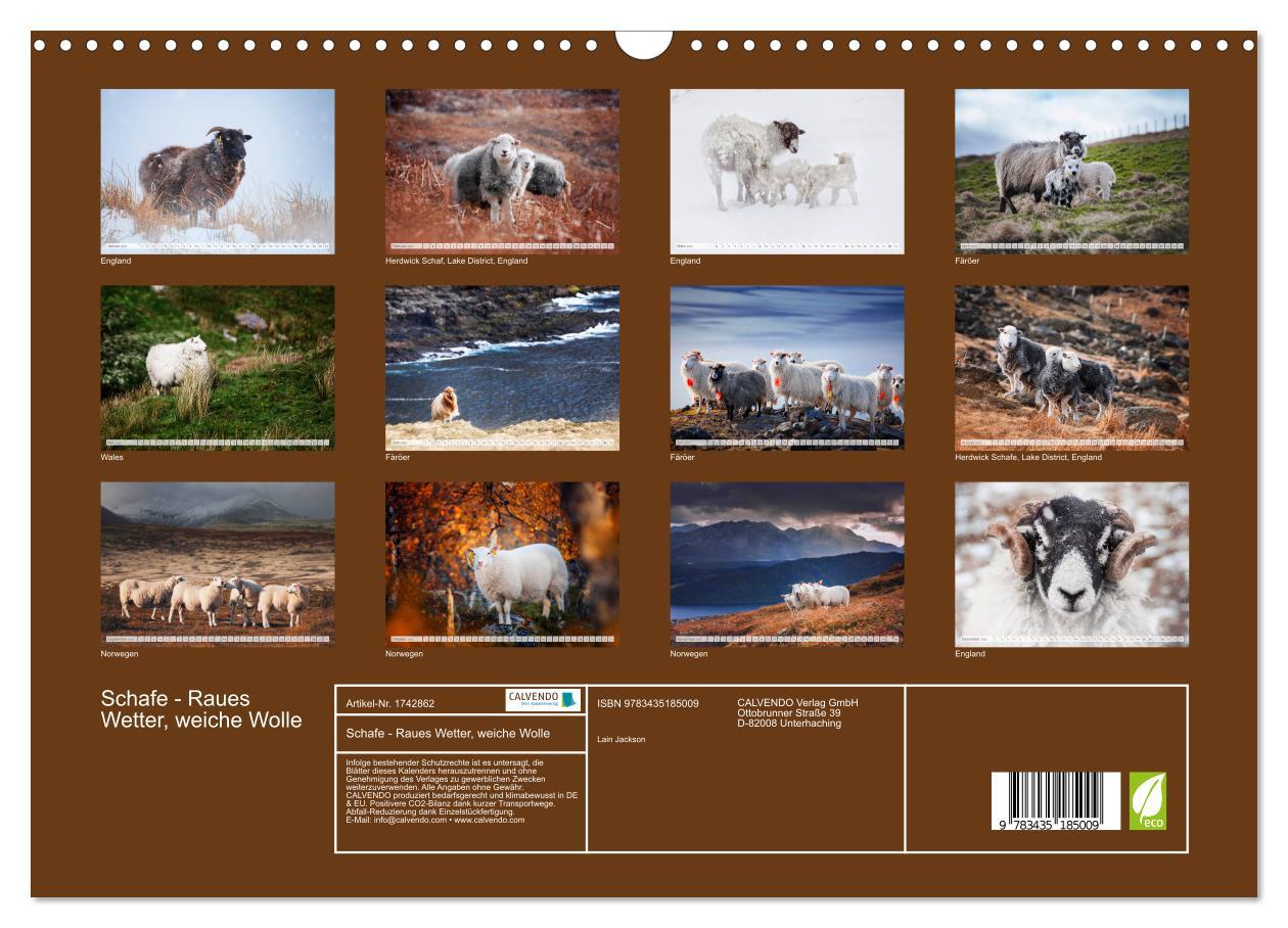 Bild: 9783435185009 | Schafe - Raues Wetter, weiche Wolle (Wandkalender 2025 DIN A3...