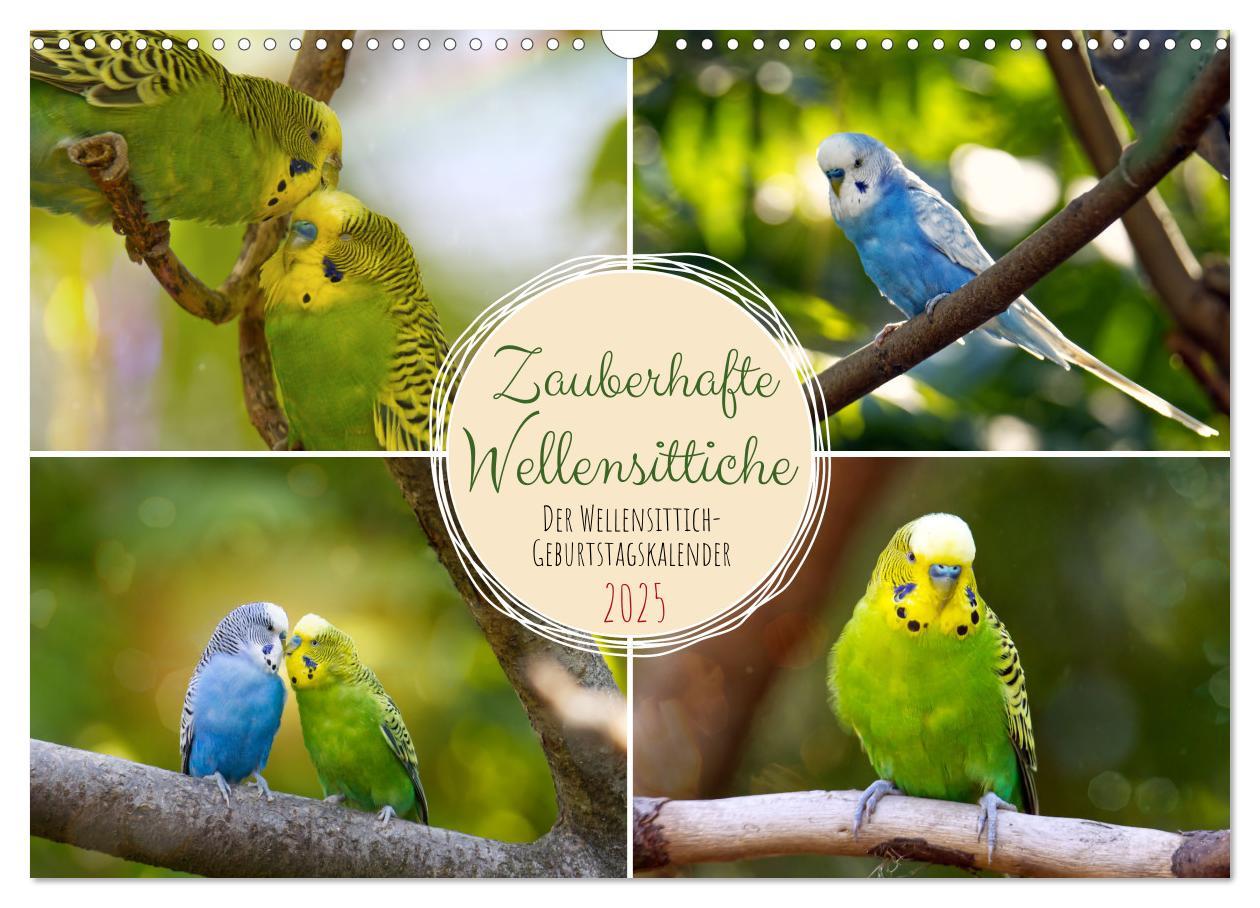 Cover: 9783383939525 | Zauberhafte Wellensittiche (Wandkalender 2025 DIN A3 quer),...