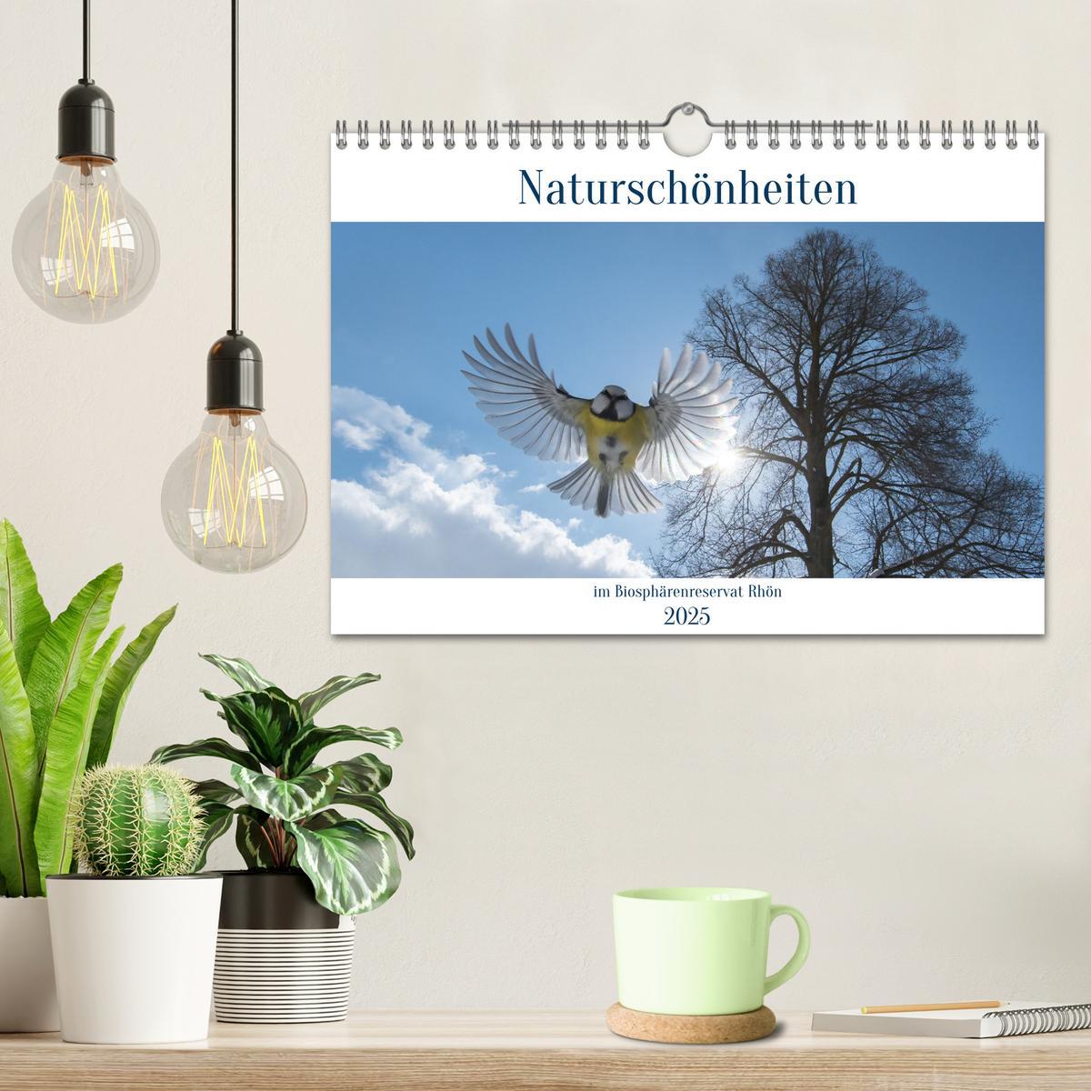 Bild: 9783383955235 | Naturschönheiten im Biosphärerenreservat Rhön (Wandkalender 2025...