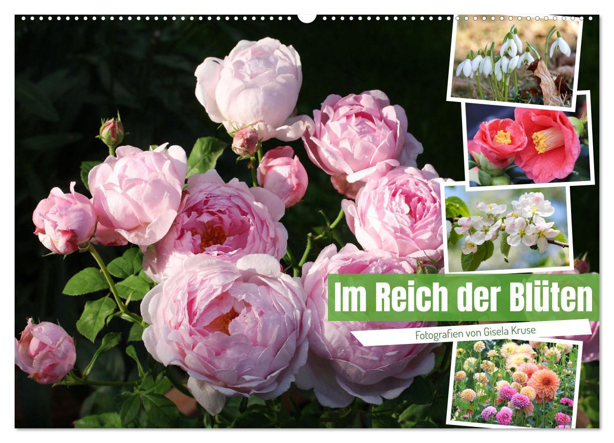 Cover: 9783383823800 | Im Reich der Blüten (Wandkalender 2025 DIN A2 quer), CALVENDO...