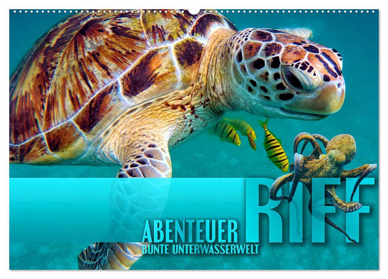 Cover: 9783383978388 | Abenteuer Riff - bunte Unterwasserwelt (Wandkalender 2025 DIN A2...