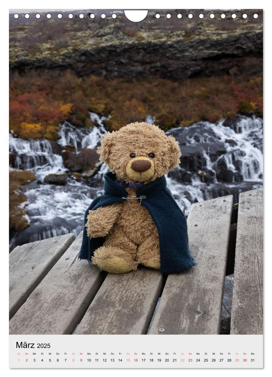 Bild: 9783457136959 | Travelling Teddy in Island (Wandkalender 2025 DIN A4 hoch),...