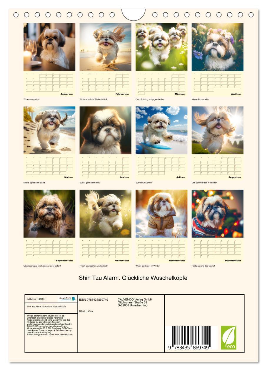 Bild: 9783435869749 | Shih Tzu Alarm. Glückliche Wuschelköpfe (Wandkalender 2025 DIN A4...