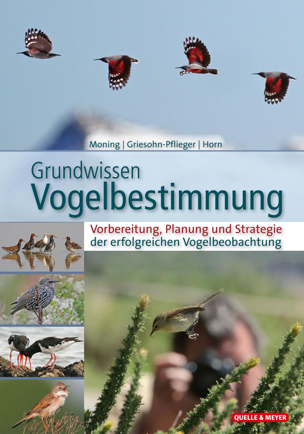 Cover: 9783494018911 | Grundwissen Vogelbestimmung | Christoph Moning (u. a.) | Buch | 592 S.