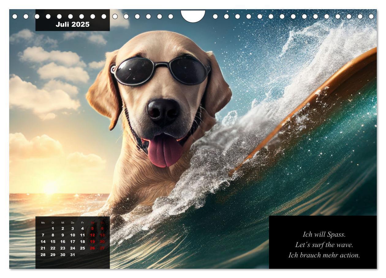 Bild: 9783435368617 | Der witzige Labrador-Kalender (Wandkalender 2025 DIN A4 quer),...