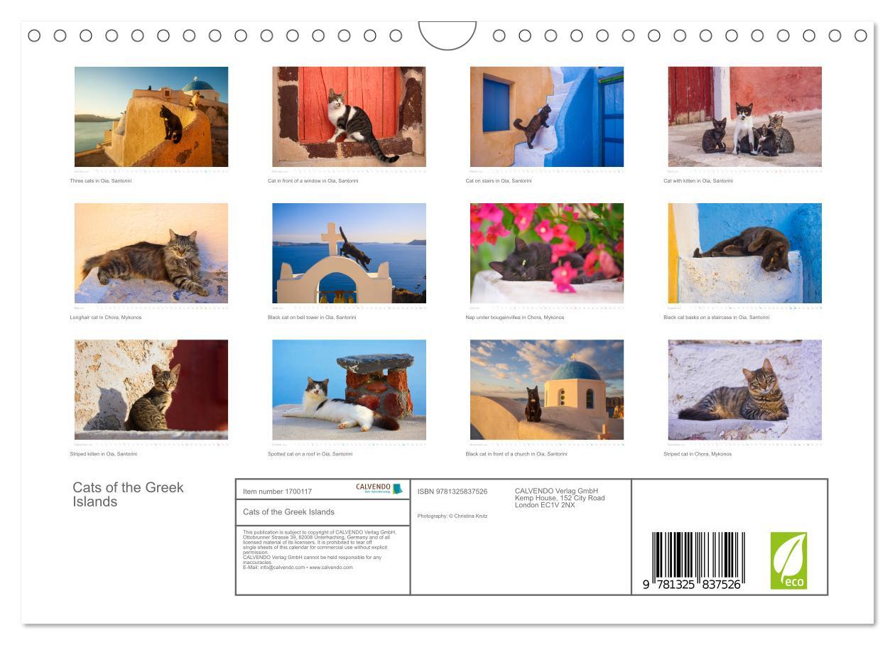 Bild: 9781325837526 | Cats of the Greek Islands (Wall Calendar 2025 DIN A4 landscape),...