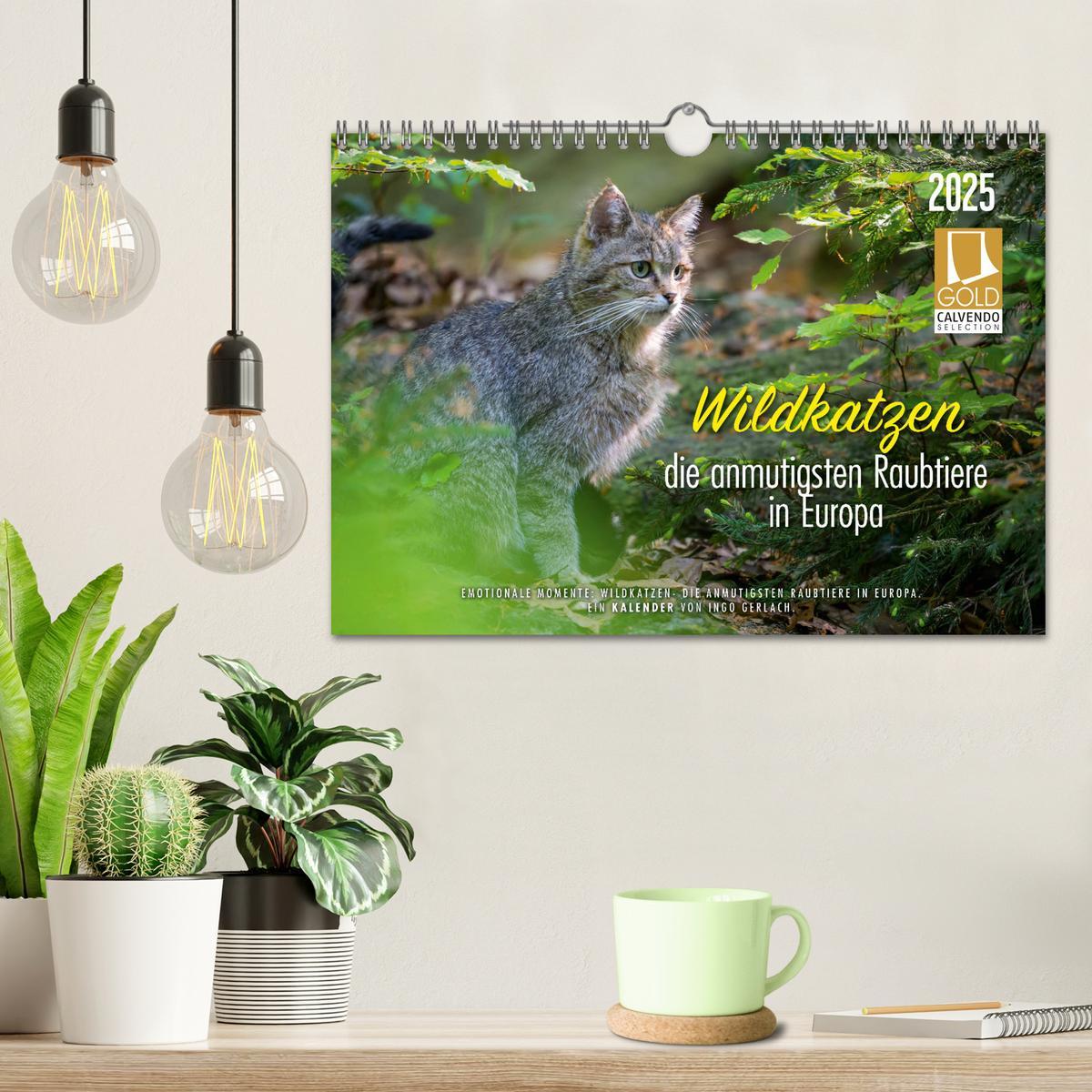 Bild: 9783435219797 | Wildkatzen - die anmutigsten Raubiere in Europa. (Wandkalender 2025...