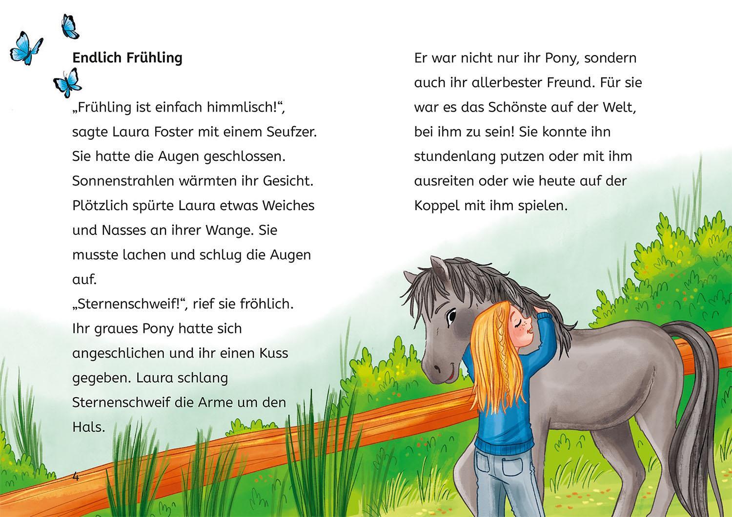 Bild: 9783440178713 | Sternenschweif, Bücherhelden 2. Klasse, Fest auf dem Ponyhof | Chapman