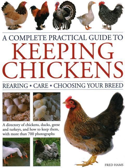 Cover: 9780754835653 | Keeping Chickens, Complete Practical Guide to | Fred Hams | Buch