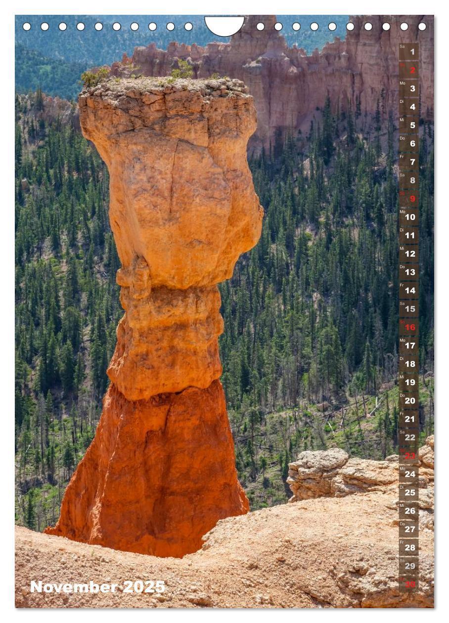 Bild: 9783435973507 | BRYCE CANYON Natur Pur (Wandkalender 2025 DIN A4 hoch), CALVENDO...