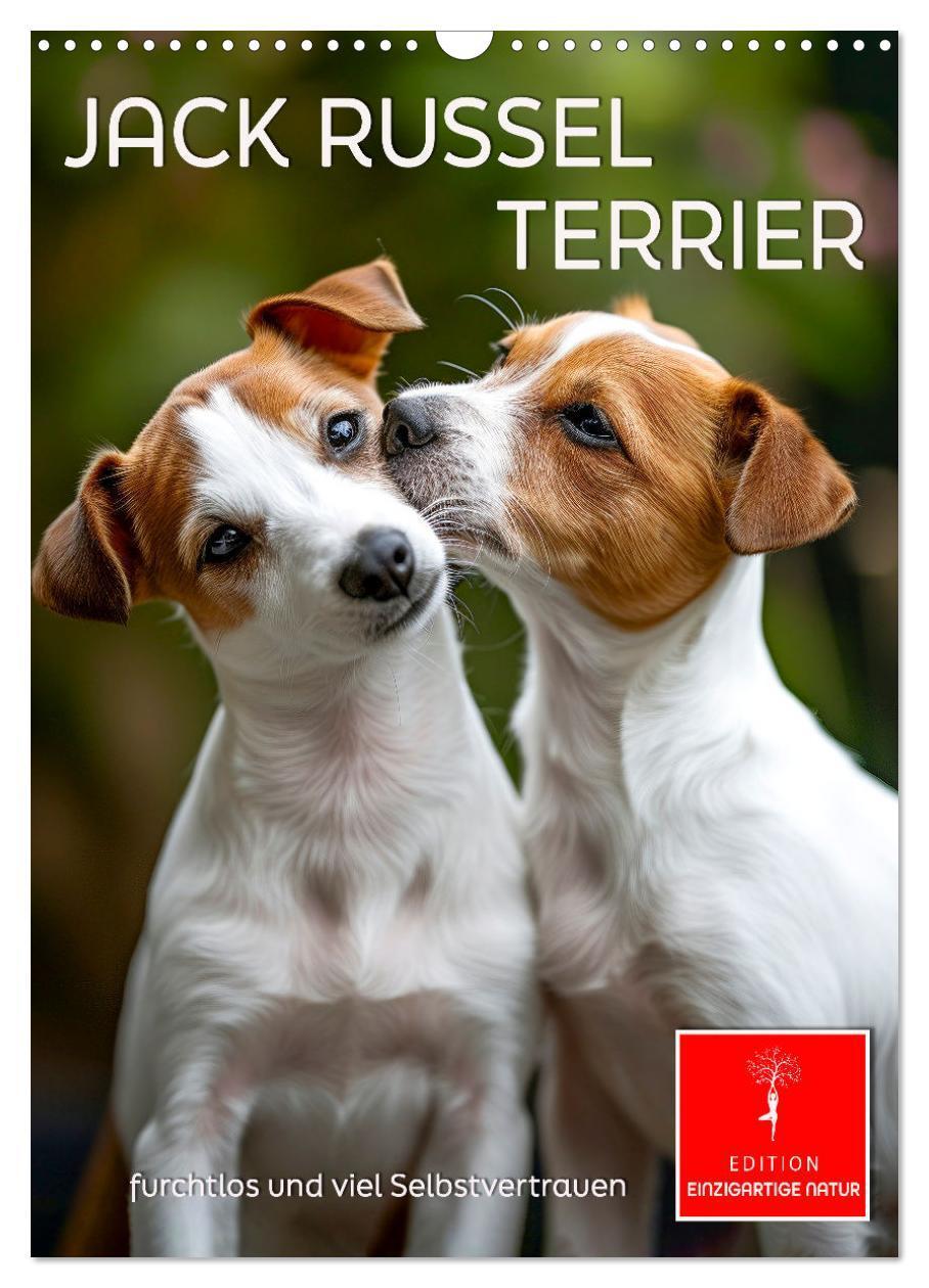 Cover: 9783383778780 | Jack Russel Terrier - furchtlos und viel Selbstvertrauen...