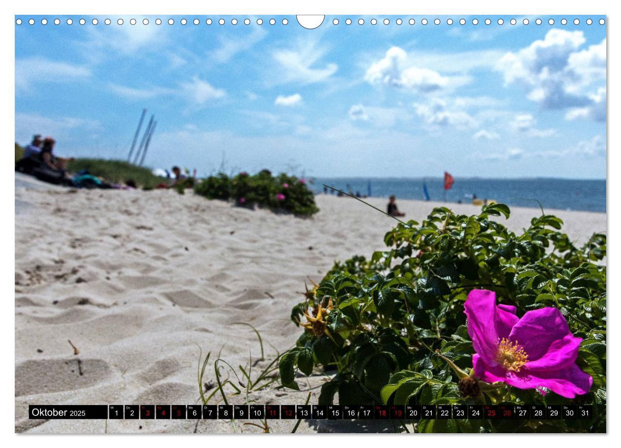 Bild: 9783435310678 | Magisches Sylt (Wandkalender 2025 DIN A3 quer), CALVENDO...