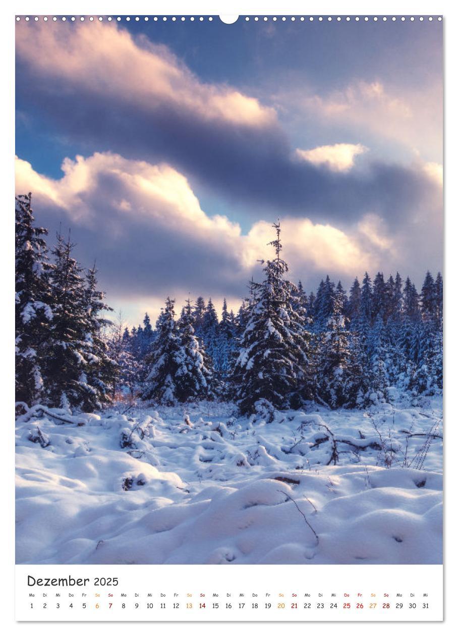 Bild: 9783435882700 | Bäume im Harz (Wandkalender 2025 DIN A2 hoch), CALVENDO Monatskalender