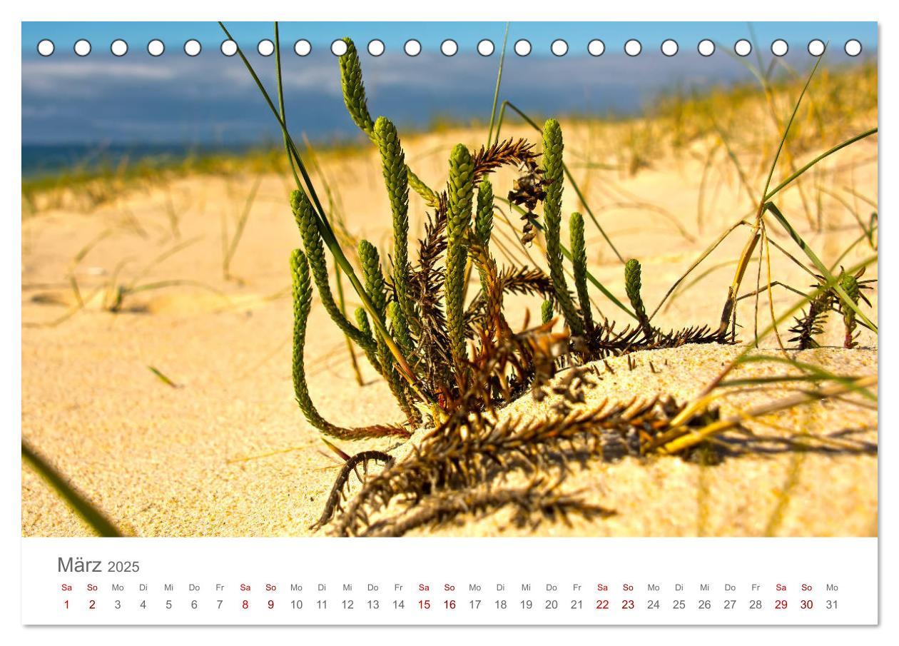 Bild: 9783435121762 | Alentejo Portugal - Küstenimpressionen (Tischkalender 2025 DIN A5...