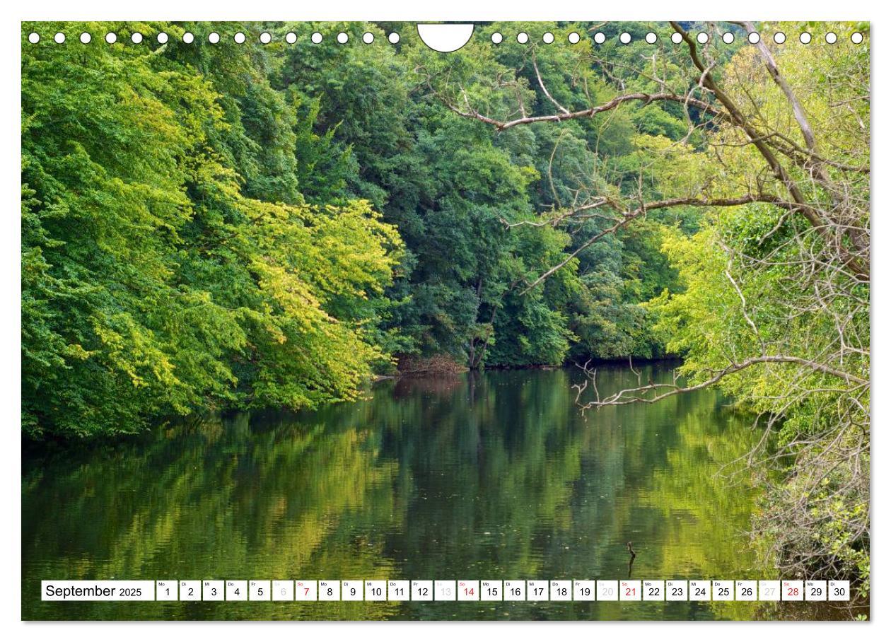 Bild: 9783435785186 | Bäche, Flüsse, Seen - Wasser in der Eifel (Wandkalender 2025 DIN A4...