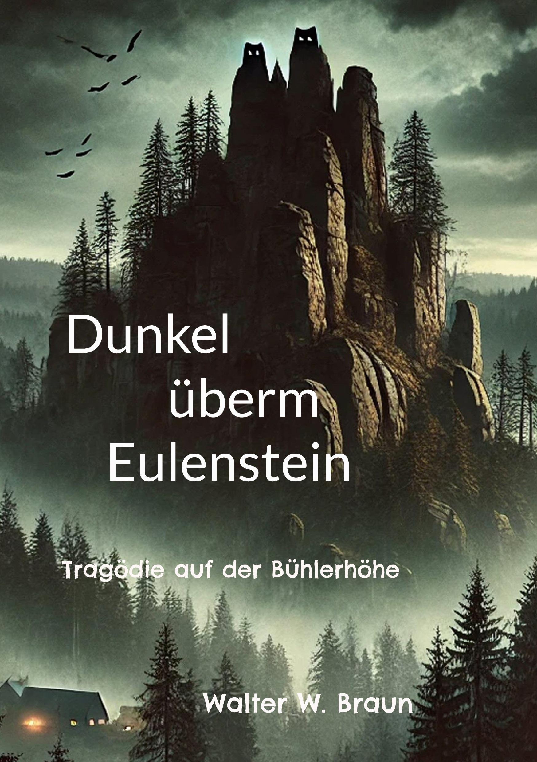 Cover: 9783741299490 | Dunkel überm Eulenstein | Tragödie auf der Bühlerhöhe | Braun | Buch