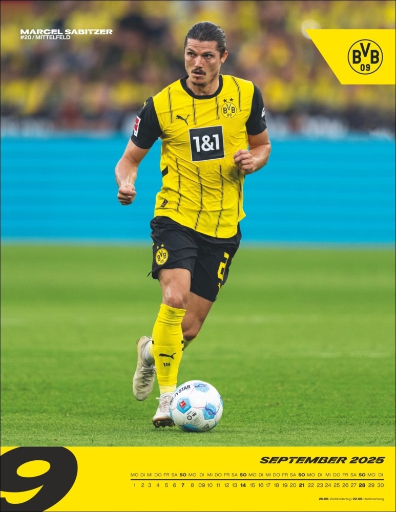 Bild: 9783756405435 | BVB Posterkalender 2025 | Kalender | Spiralbindung | 15 S. | Deutsch