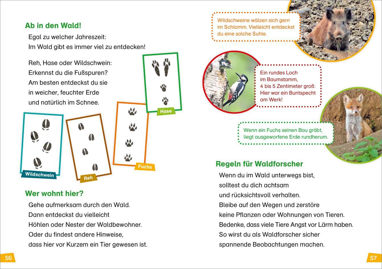 Bild: 9783788626426 | WAS IST WAS Erstes Lesen Band 6. Wald | Karin Bischoff | Buch | 64 S.