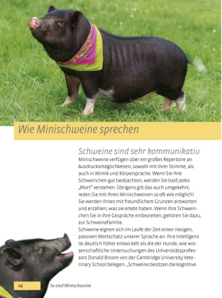 Bild: 9783440132371 | Minischweine | Haltung, Pflege, Erziehung | Elke Striowsky | Buch