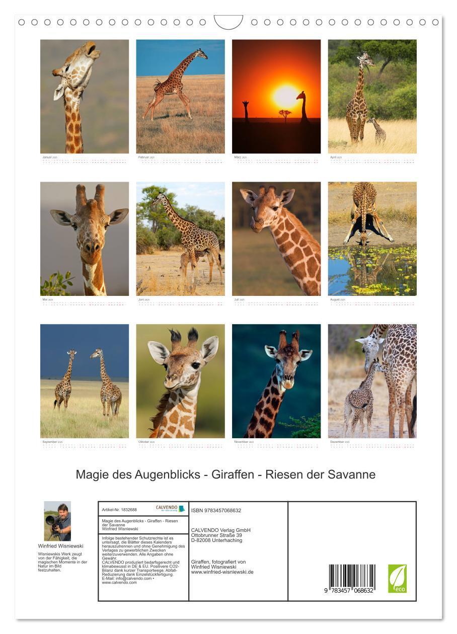 Bild: 9783457068632 | Magie des Augenblicks - Giraffen - Riesen der Savanne (Wandkalender...