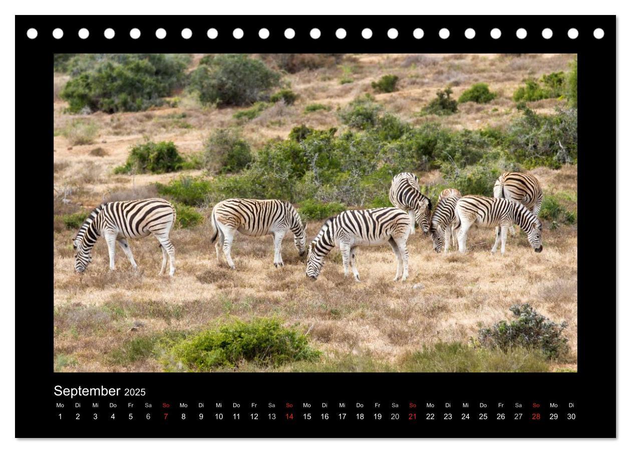 Bild: 9783435713264 | Südafrika - Garden Route (Tischkalender 2025 DIN A5 quer), CALVENDO...