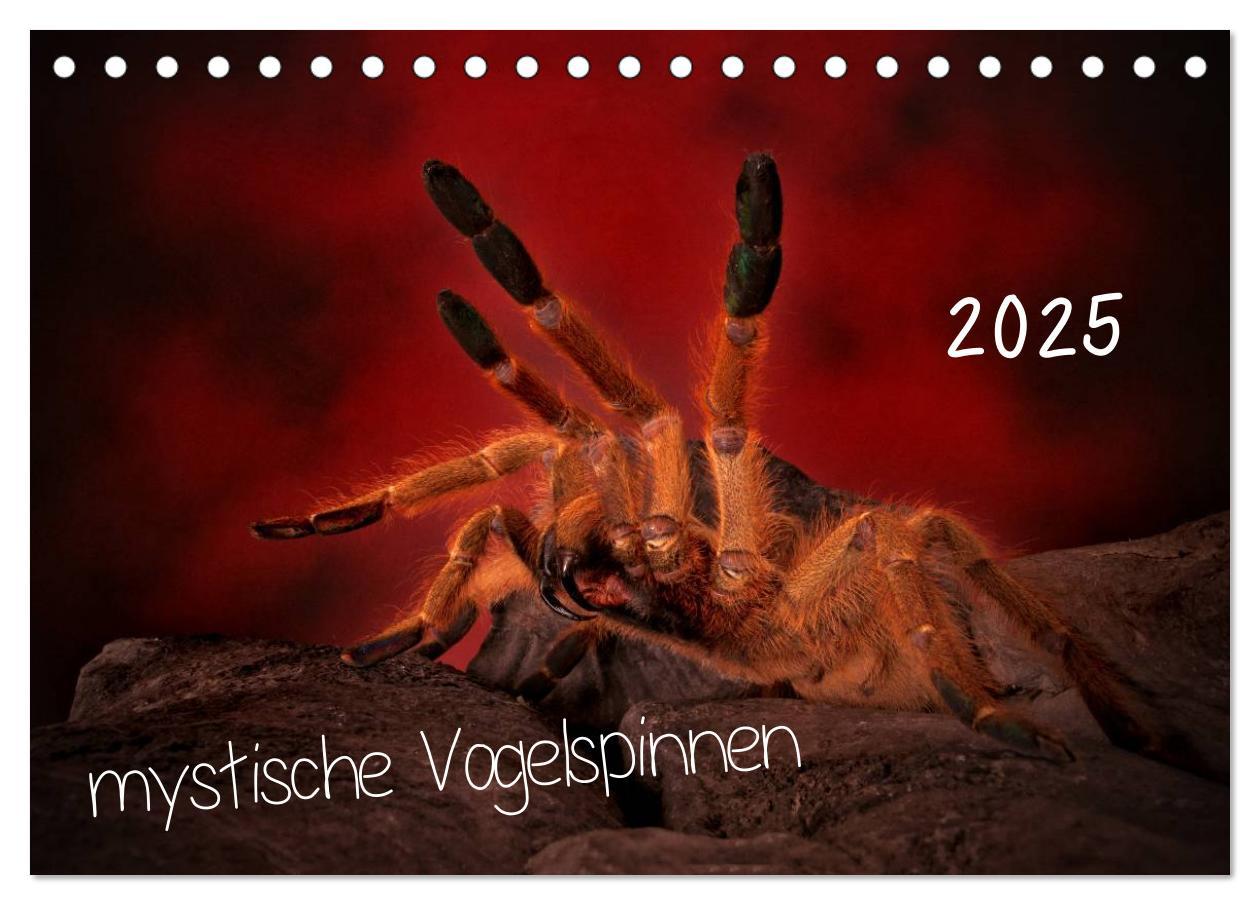 Cover: 9783435525720 | Mystische Vogelspinnen (Tischkalender 2025 DIN A5 quer), CALVENDO...