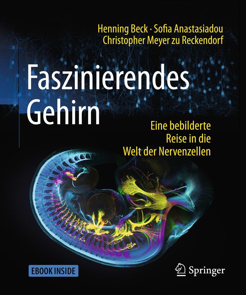 Cover: 9783662547557 | Faszinierendes Gehirn | Henning Beck (u. a.) | Taschenbuch | Deutsch