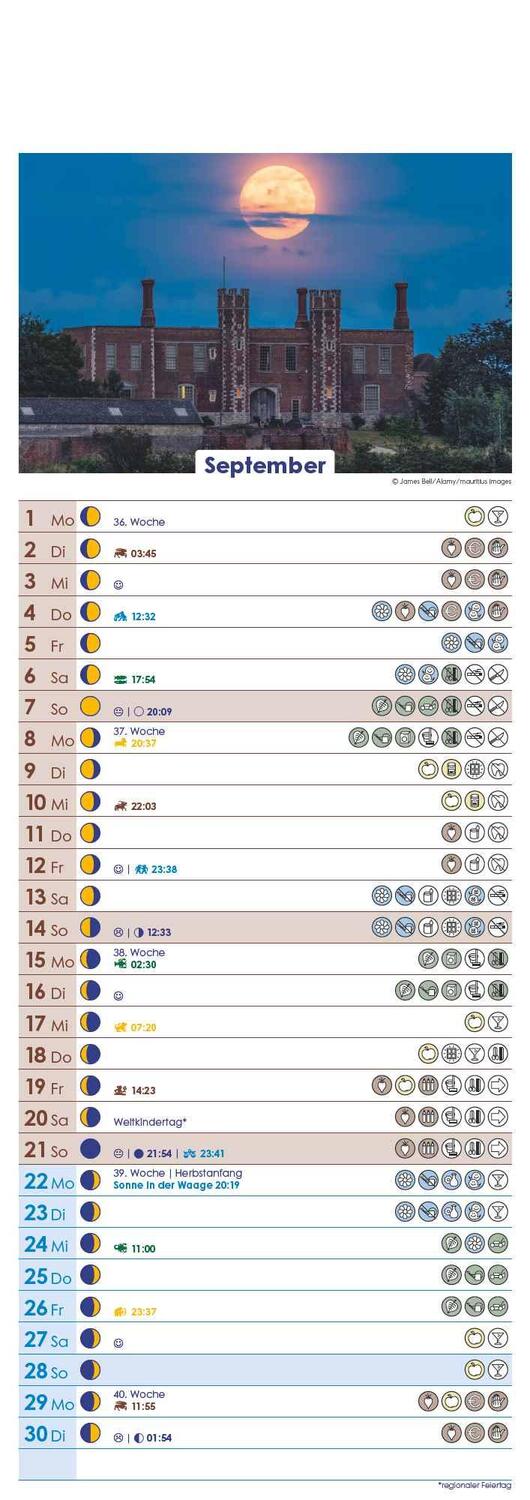 Bild: 4251732341541 | Mondkalender 2025 - Streifen-Kalender 14,85x42 cm - Wandplaner -...