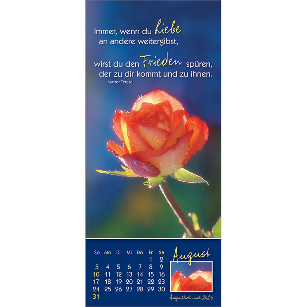 Bild: 9783754883556 | Augenblick mal 2025 | Der (kleine) Symbol-Kalender | Anke Will | 14 S.