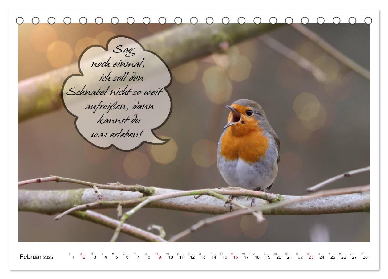 Bild: 9783435113446 | Vögel mit Humor (Tischkalender 2025 DIN A5 quer), CALVENDO...