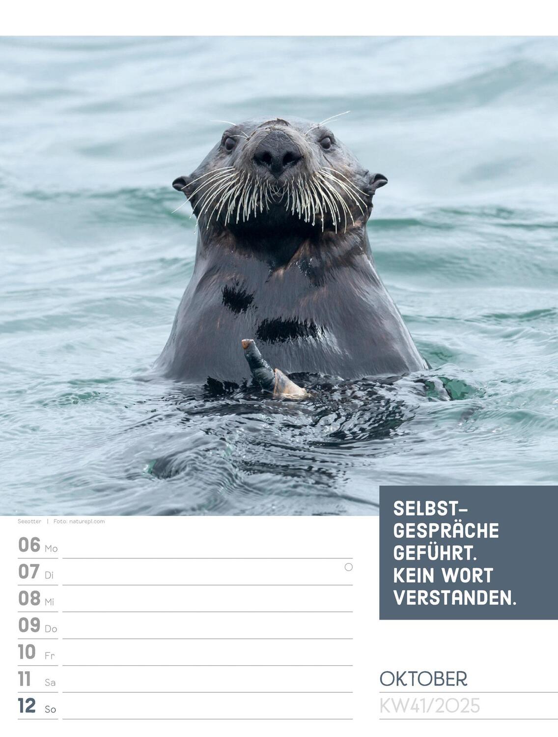 Bild: 9783838425962 | Tierisch! Sprüchekalender - Wochenplaner Kalender 2025 | Kunstverlag