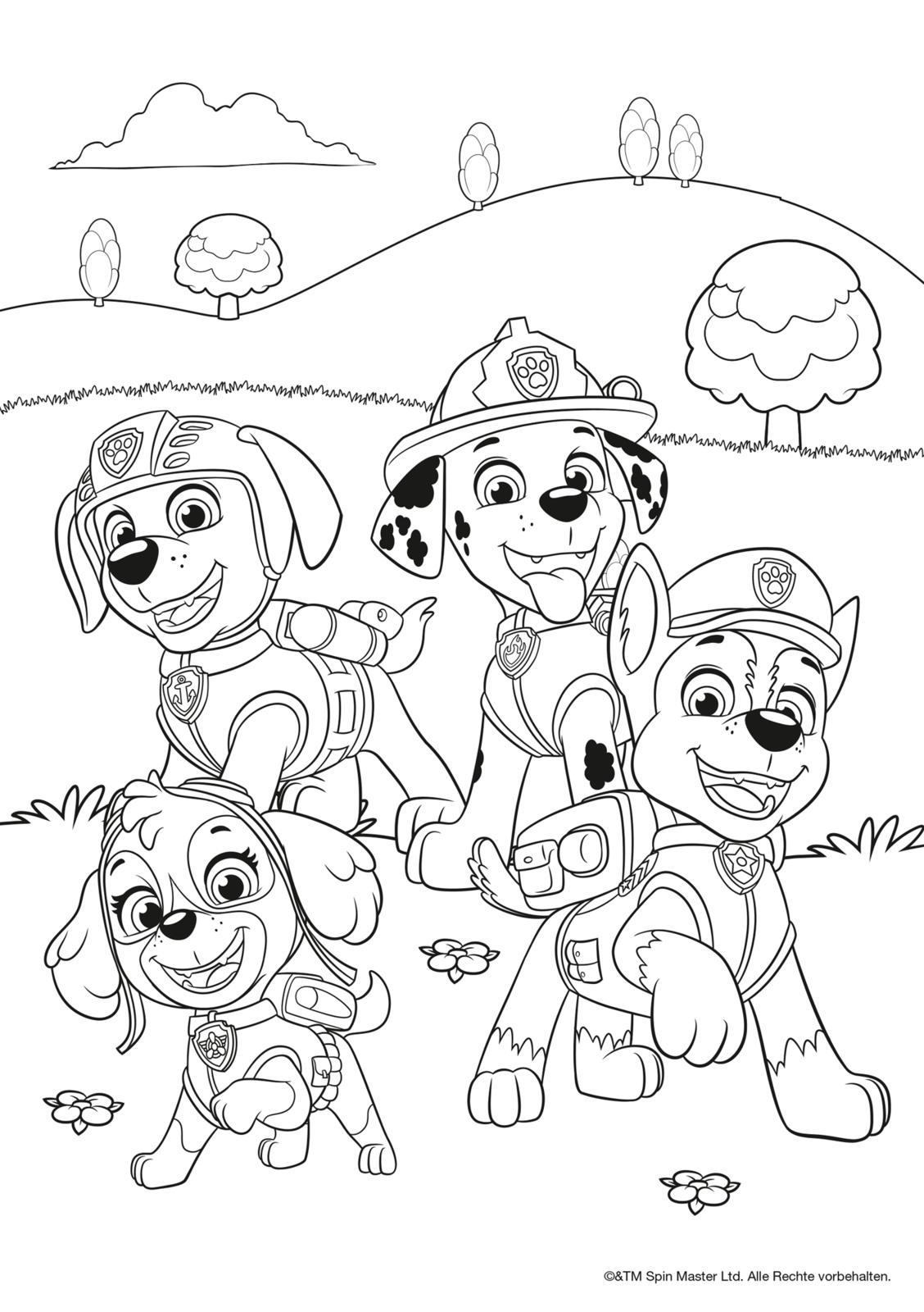 Bild: 9783845121598 | PAW Patrol Kindergartenheft: Mein liebster Malblock | Taschenbuch