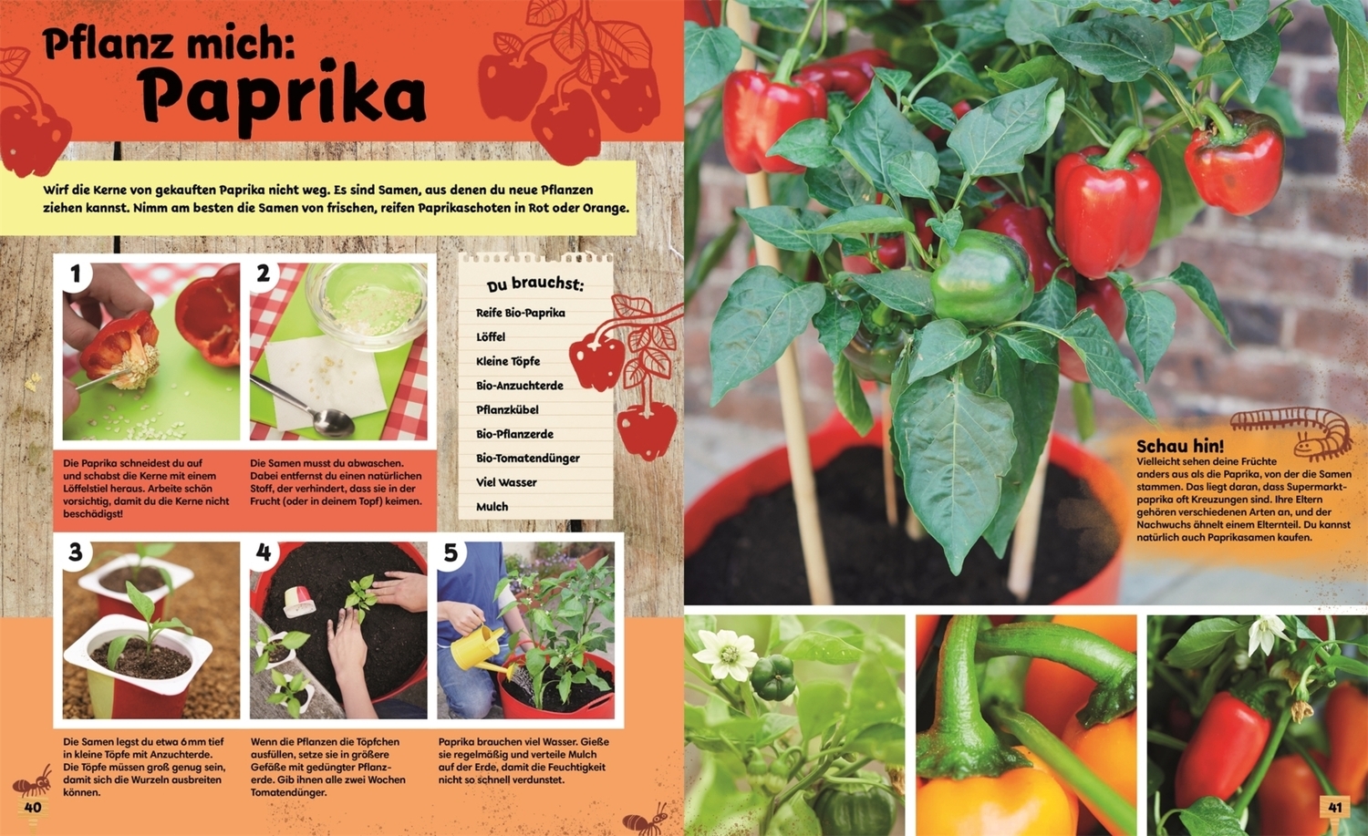 Bild: 9783831041268 | Auf ins Beet! | Wiebke Krabbe (u. a.) | Taschenbuch | 128 S. | Deutsch