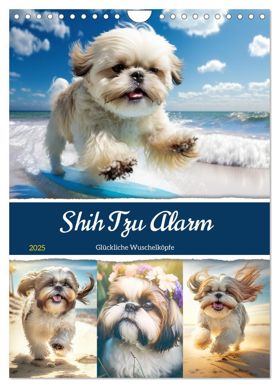 Cover: 9783435869749 | Shih Tzu Alarm. Glückliche Wuschelköpfe (Wandkalender 2025 DIN A4...