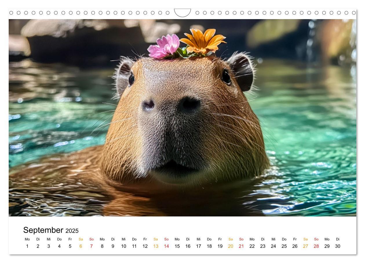 Bild: 9783457244593 | Capybara - liebenswertes großes Wasserschwein (Wandkalender 2025...