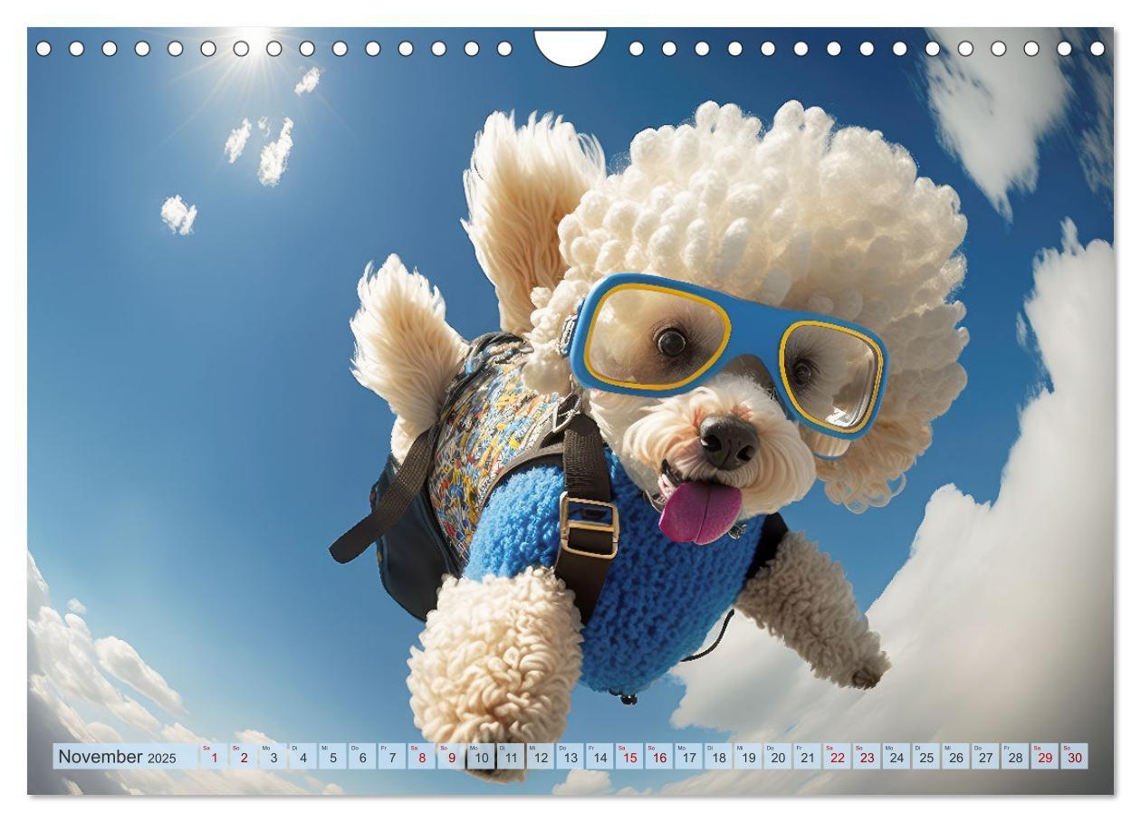 Bild: 9783383867149 | Hunde Skydiving (Wandkalender 2025 DIN A4 quer), CALVENDO...