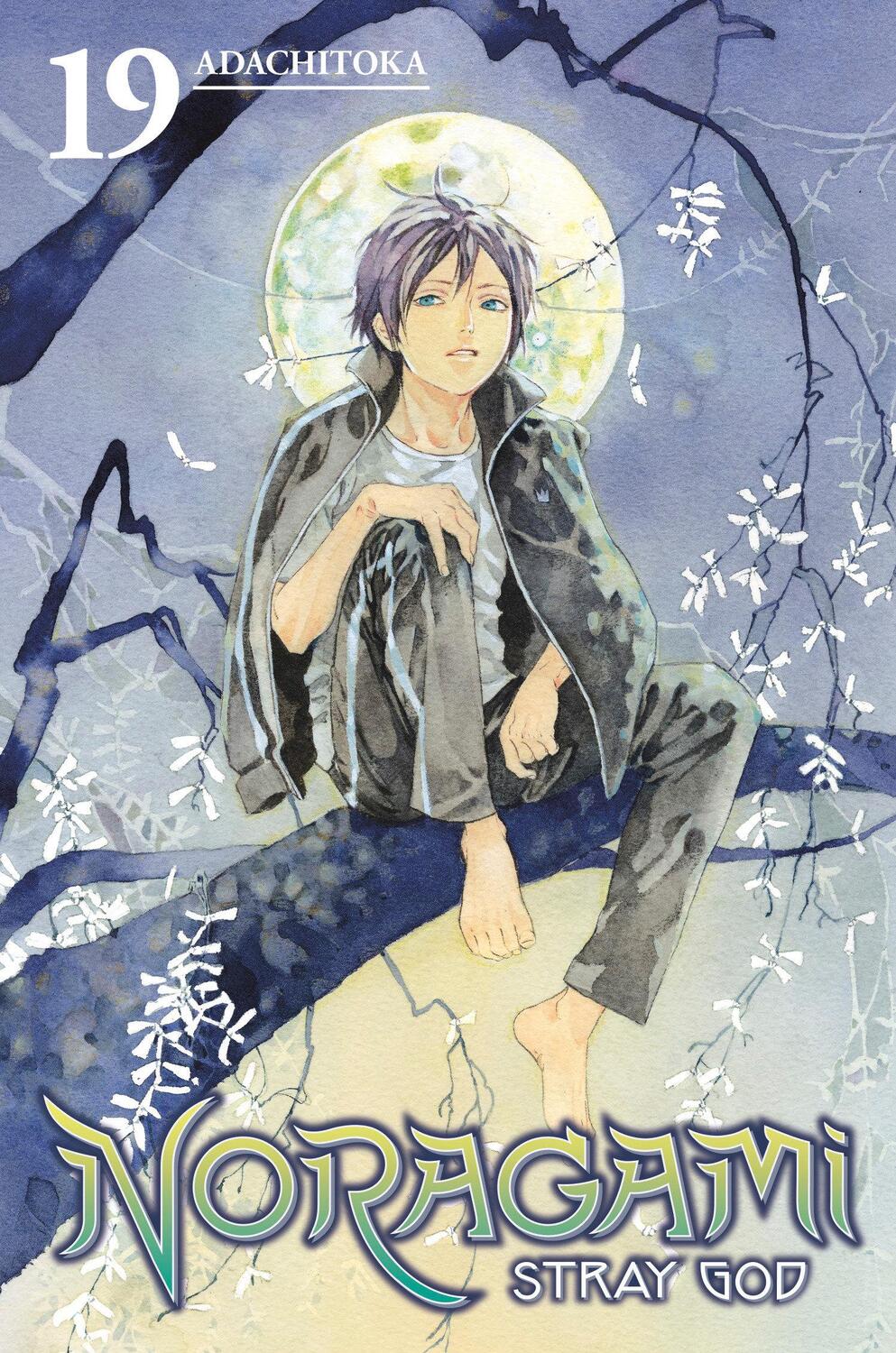 Cover: 9781632364395 | Noragami: Stray God 19 | Adachitoka | Taschenbuch | Englisch | 2018