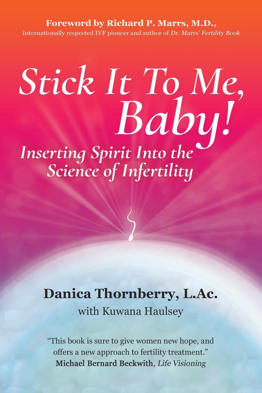 Cover: 9781504351089 | Stick It to Me, Baby! | Danica Thornberry Daom | Taschenbuch | 2016