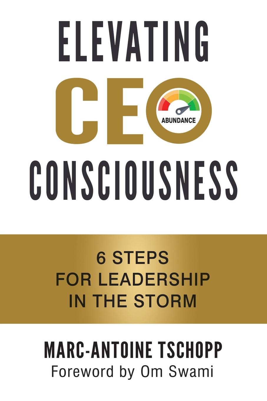 Cover: 9798765240014 | ELEVATING CEO CONSCIOUSNESS | 6 Steps for Leadership in the Storm