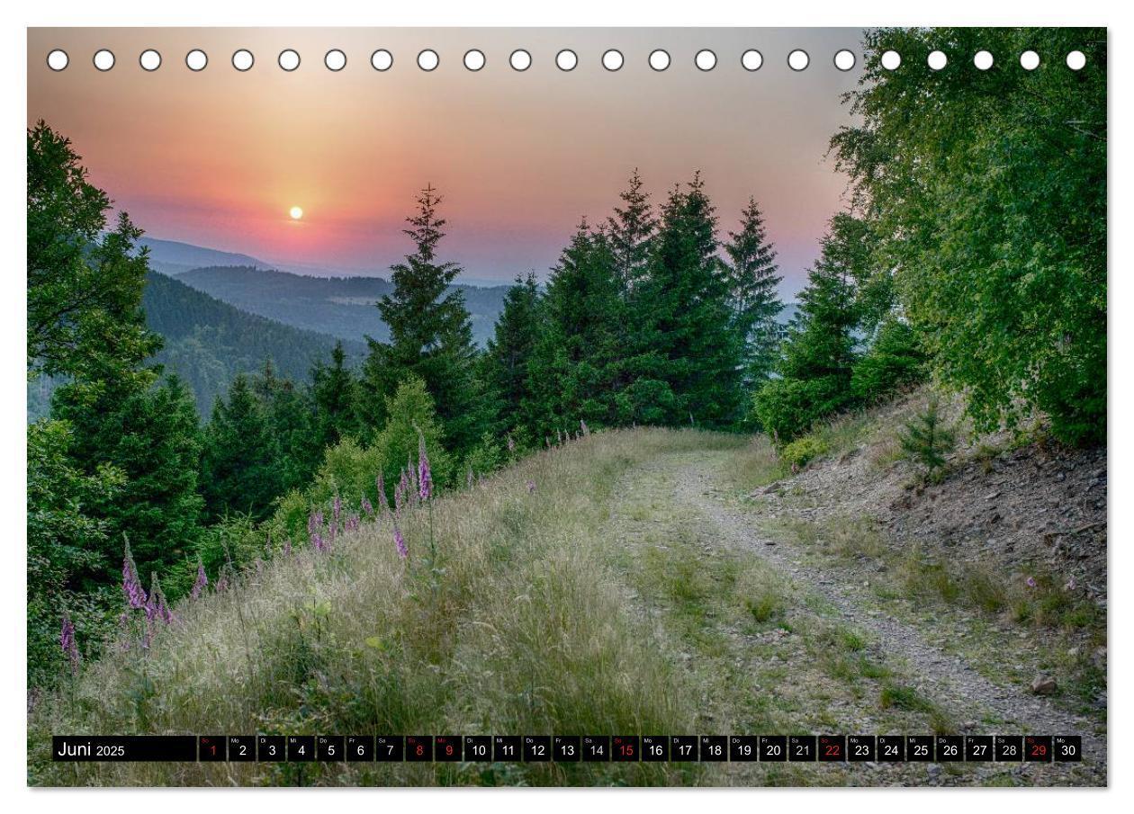 Bild: 9783435537853 | Der Harz einfach magisch (Tischkalender 2025 DIN A5 quer), CALVENDO...