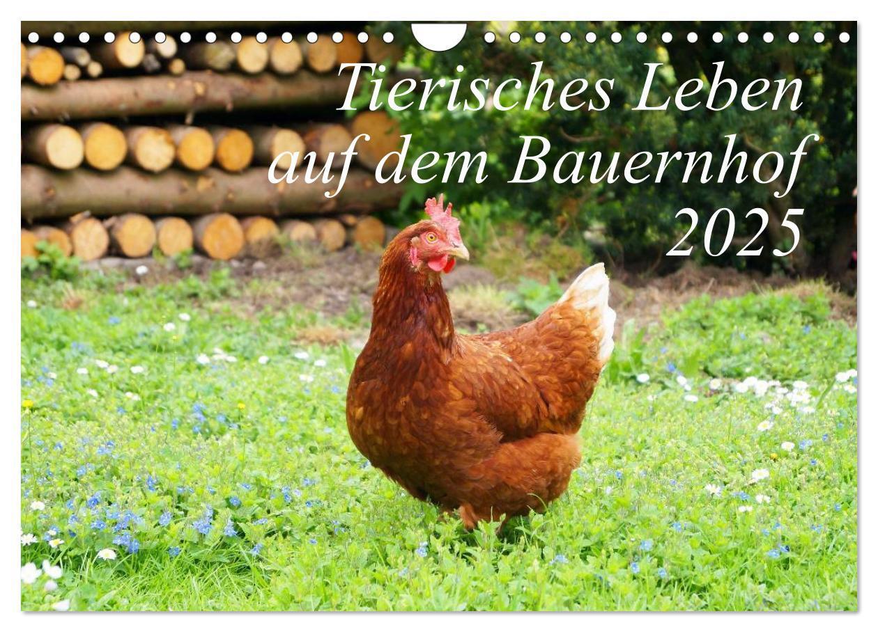 Cover: 9783435494507 | Tierisches Leben auf dem Bauernhof 2025 (Wandkalender 2025 DIN A4...