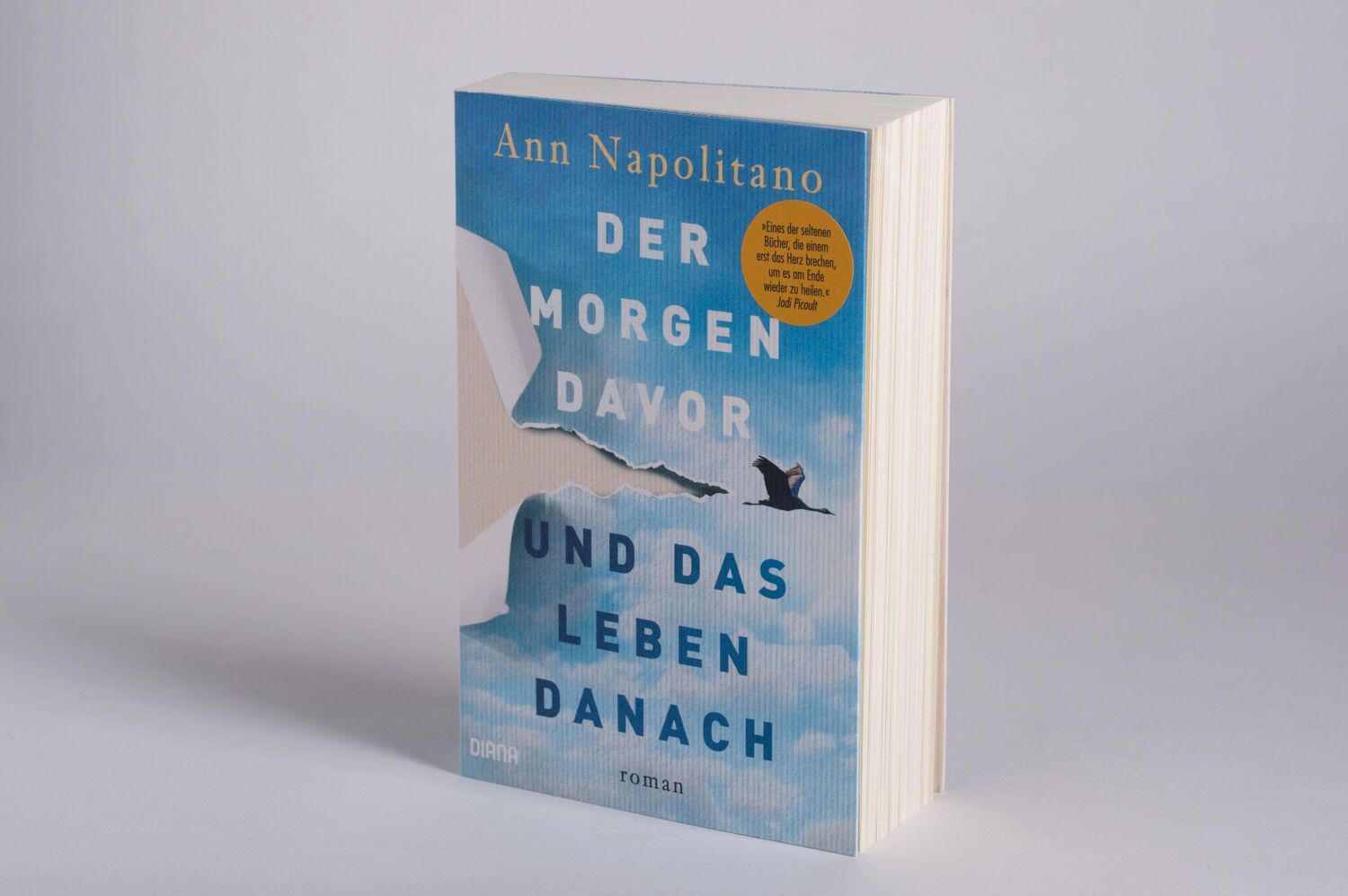 Bild: 9783453360488 | Der Morgen davor und das Leben danach | Ann Napolitano | Taschenbuch